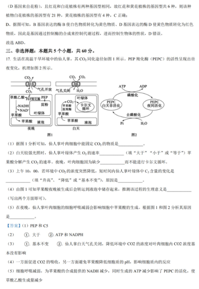 湖南省岳汨联考2024高三11月期中生物试题及答案