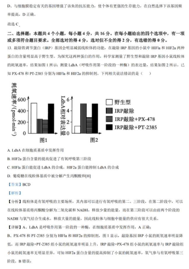 湖南省岳汨联考2024高三11月期中生物试题及答案