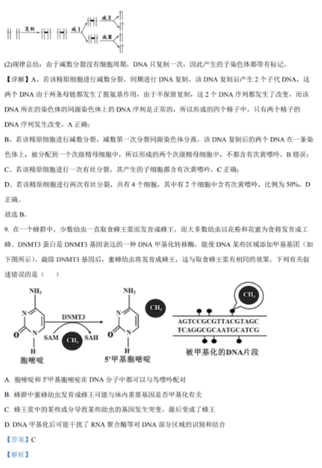 湖南2024高三11月期中生物真题含答案