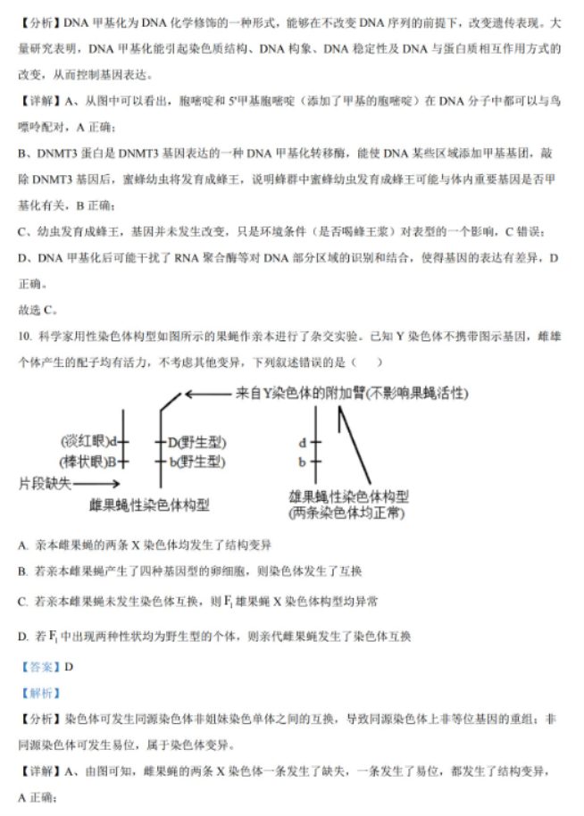 湖南2024高三11月期中生物真题含答案