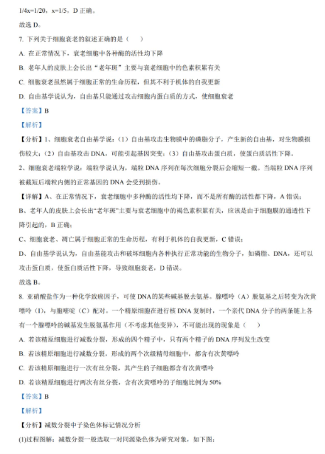 湖南2024高三11月期中生物真题含答案