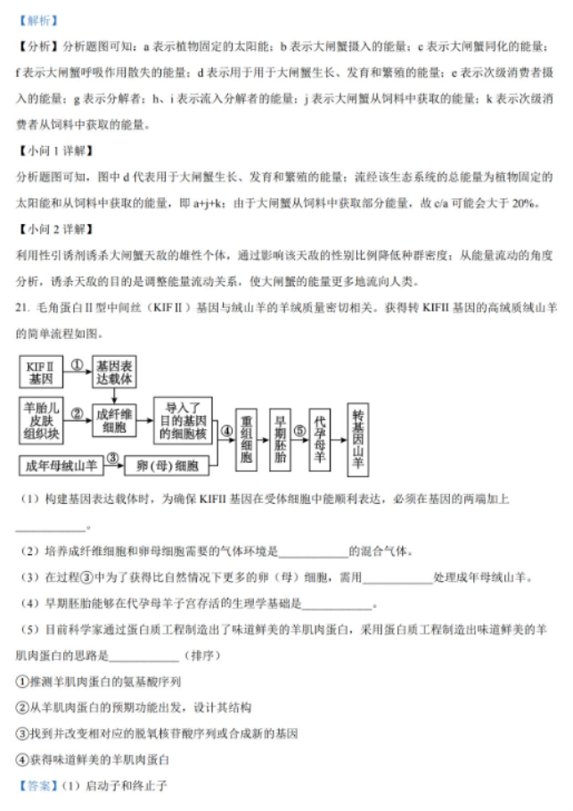 湖南省岳汨联考2024高三11月期中生物试题及答案