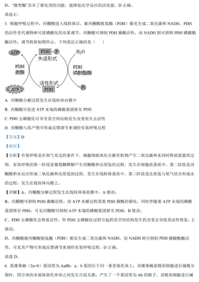 湖南省岳汨联考2024高三11月期中生物试题及答案
