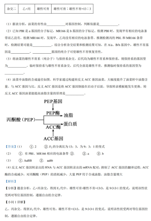 湖南省岳汨联考2024高三11月期中生物试题及答案