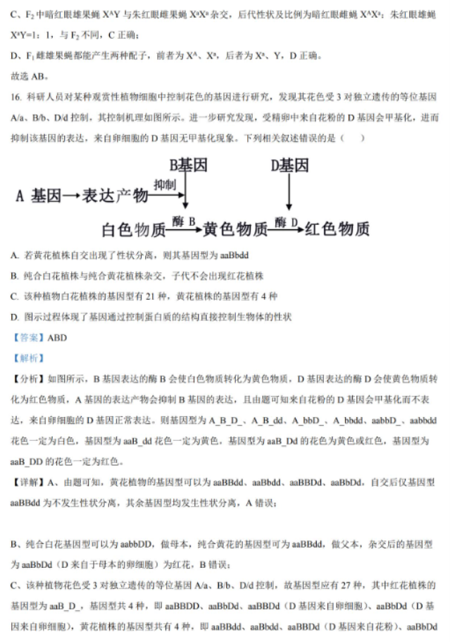 湖南2024高三11月期中生物真题含答案