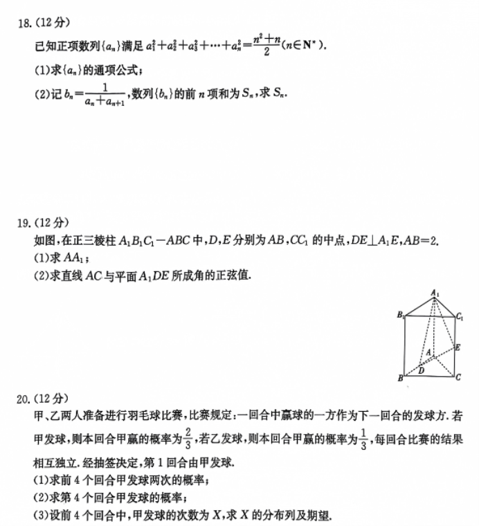 辽宁金太阳2024高三11月期中数学试卷带答案