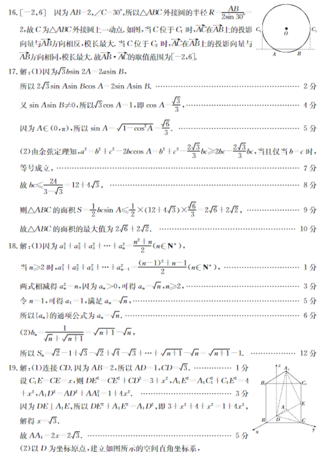辽宁金太阳2024高三11月期中数学试卷带答案