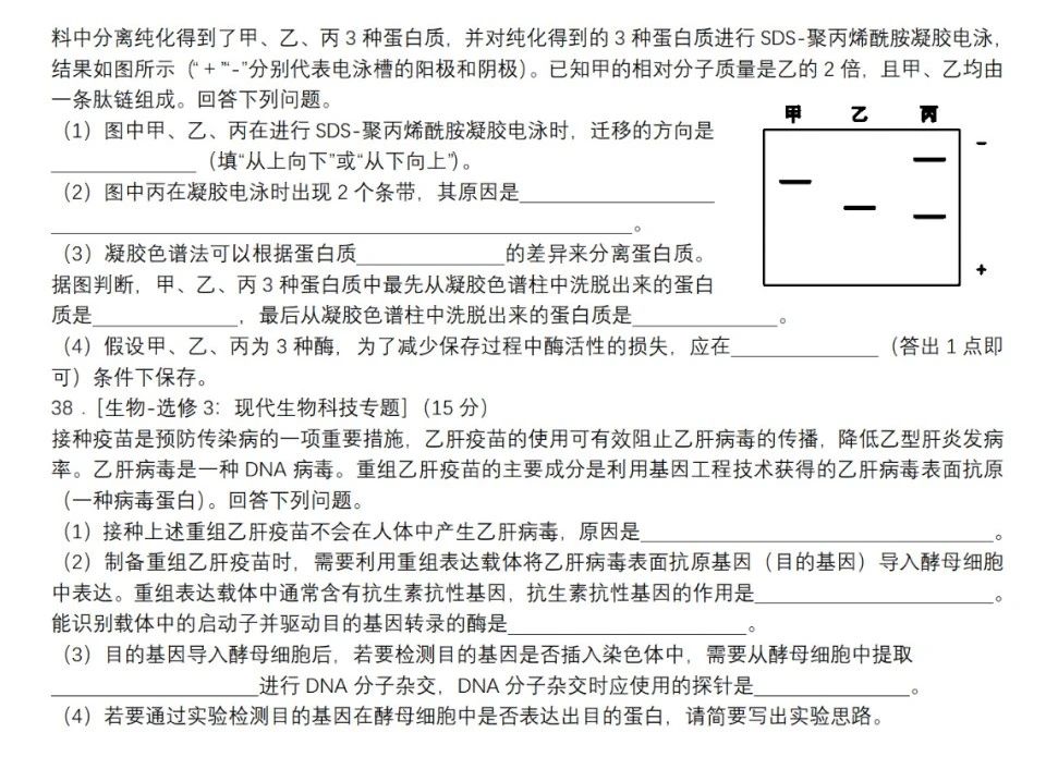 2023年全国甲卷高考生物试卷（含答案）