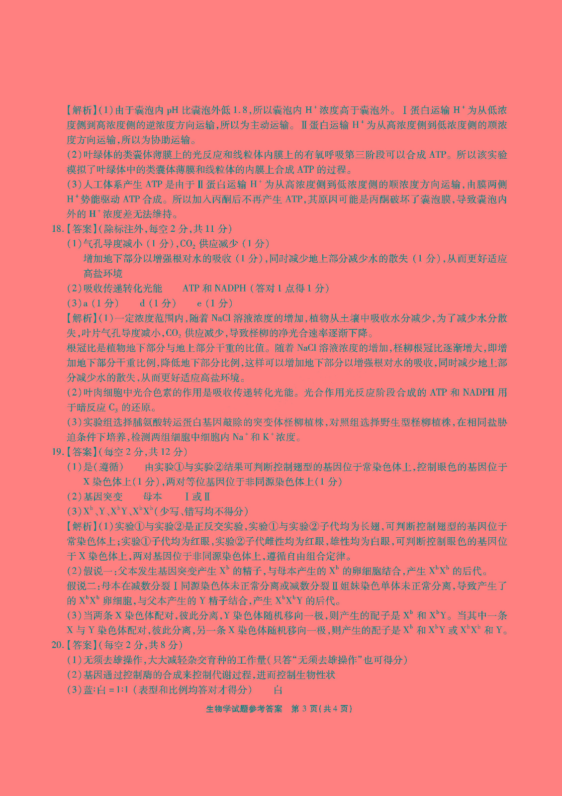 江淮十校2024届高三第二次联考生物试题