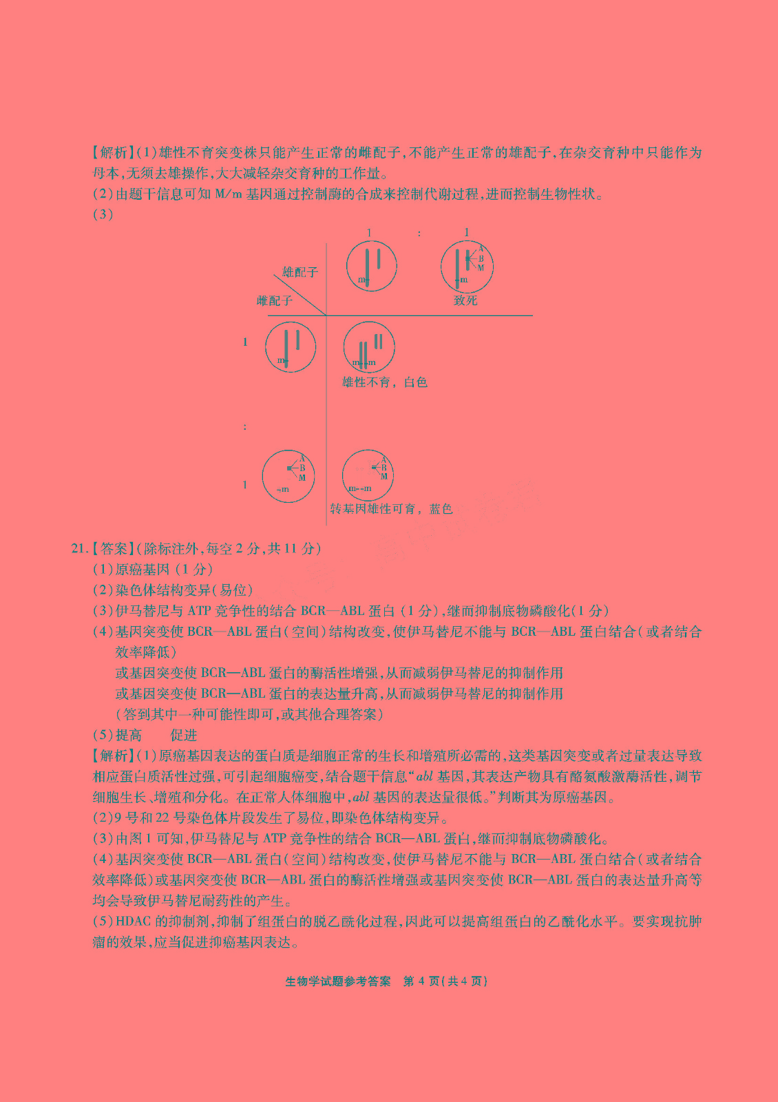 江淮十校2024届高三第二次联考生物试题
