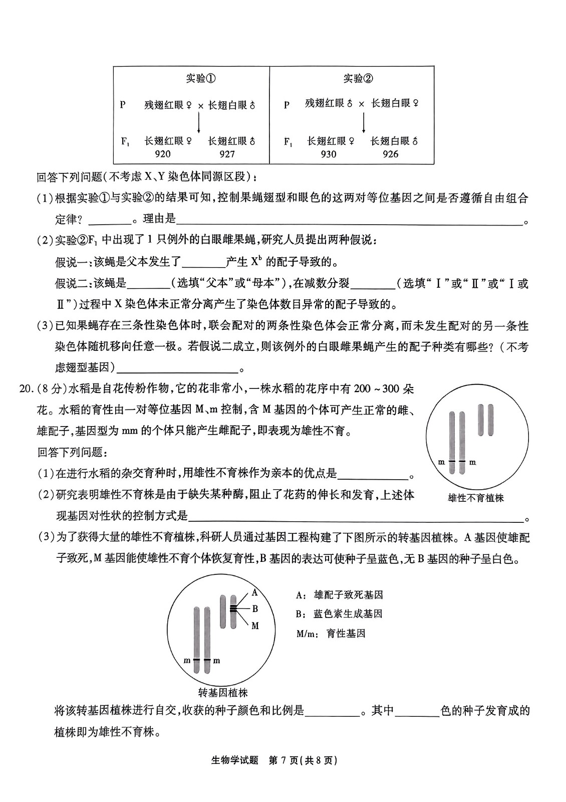 江淮十校2024届高三第二次联考生物试题