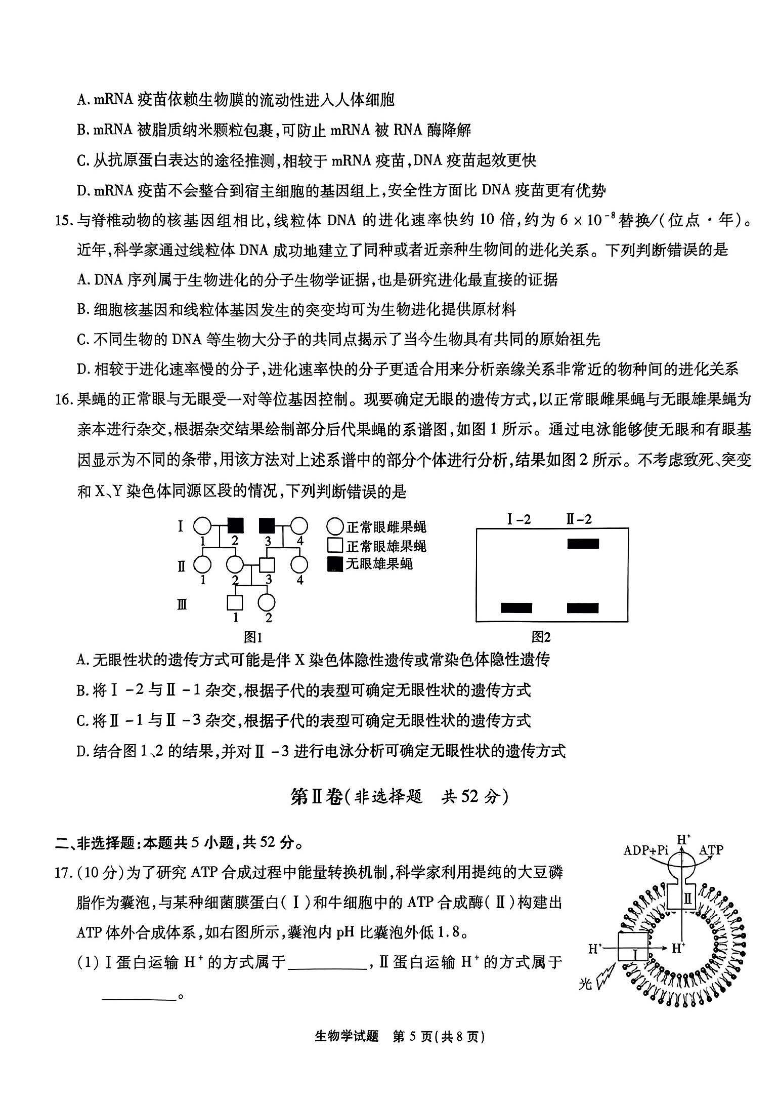 江淮十校2024届高三第二次联考生物试题
