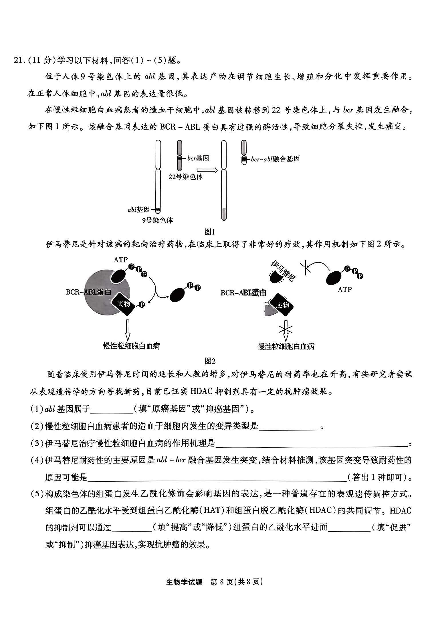 江淮十校2024届高三第二次联考生物试题
