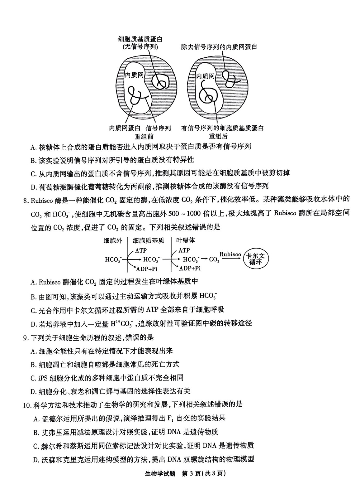 江淮十校2024届高三第二次联考生物试题