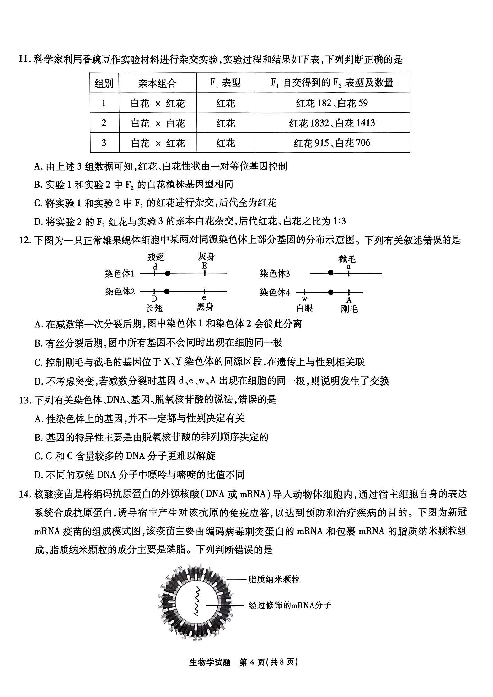 江淮十校2024届高三第二次联考生物试题