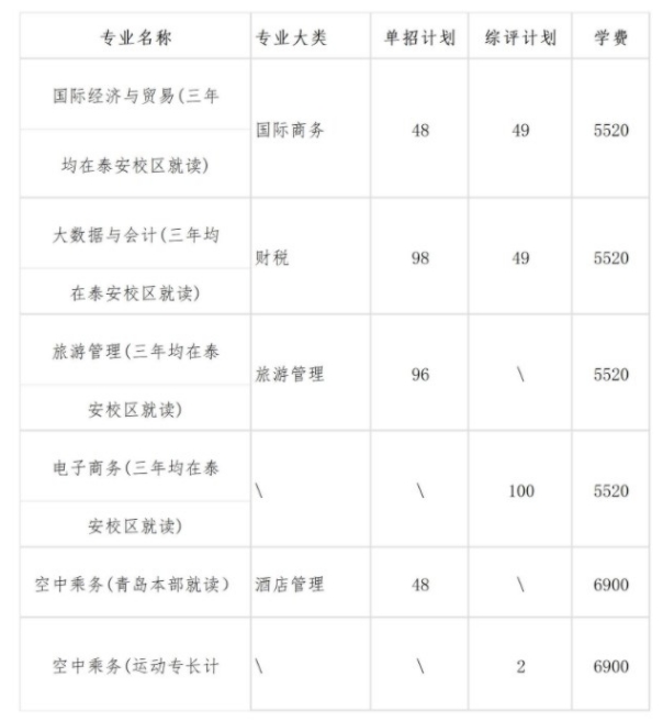 山东外贸职业学院2024单招和综评招生专业及计划