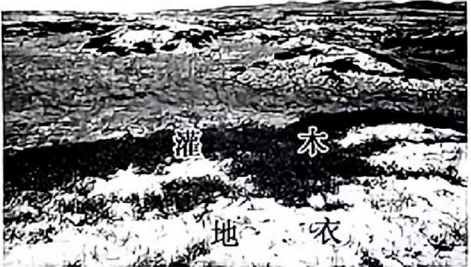 河南省2024年普通高考适应性测试文科综合地理试题及答案