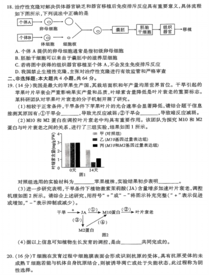 2024湖北省八市高三3月联考生物试题及答案