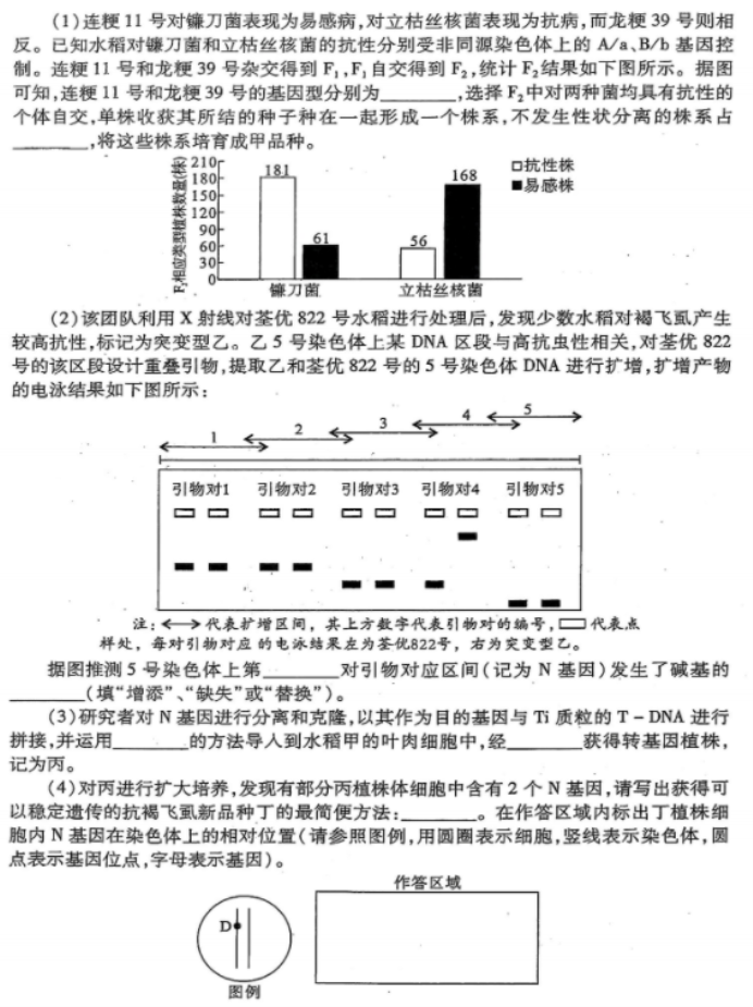 2024湖北省八市高三3月联考生物试题及答案