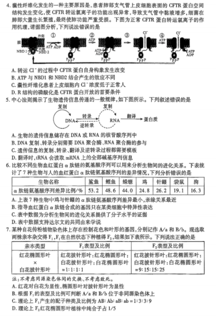 2024湖北省八市高三3月联考生物试题及答案