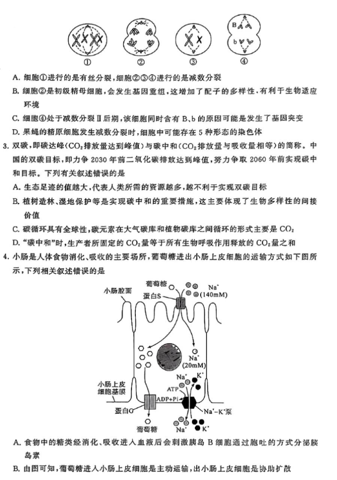 2024届山西高三第二次T8联考理综试题答案