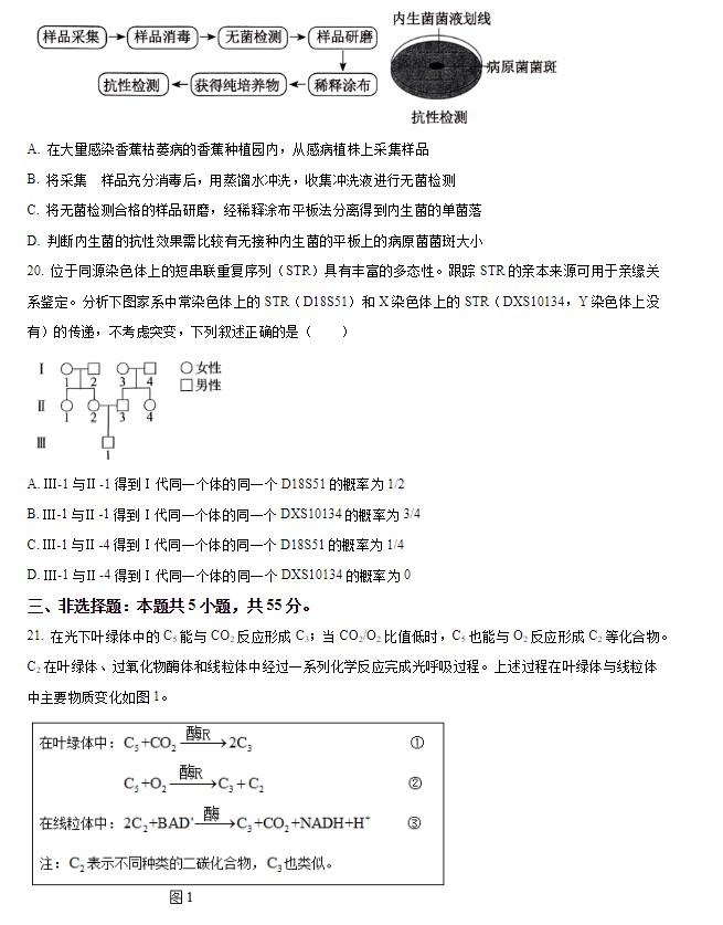 2024届吉林省普通高考生物试题