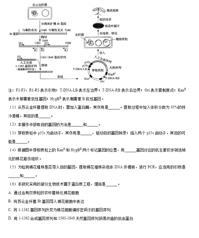 2024届吉林省普通高考生物试题