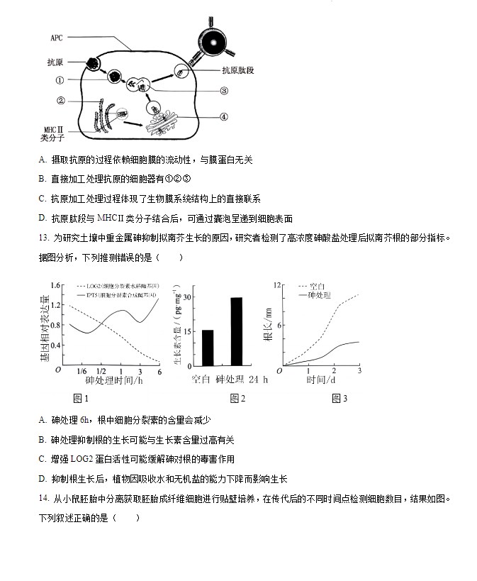 2024届吉林省普通高考生物试题